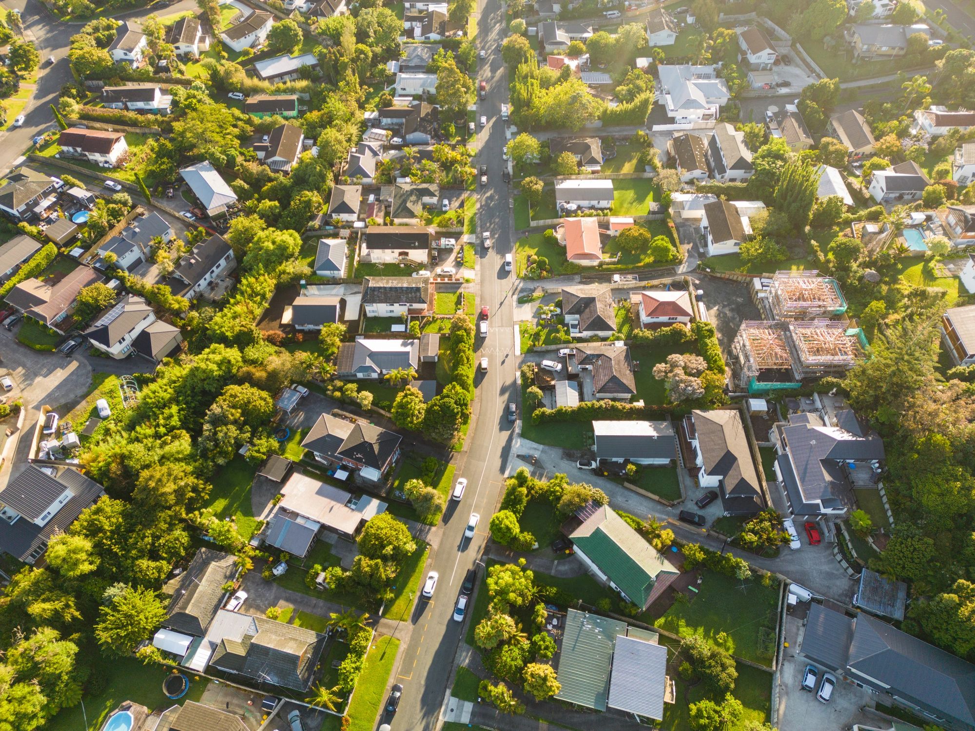 residential community neighborhood green trees